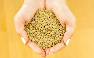 Are Lentils Good for You?