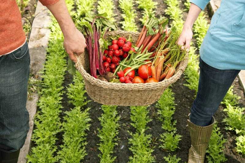 Components of Organic Farming