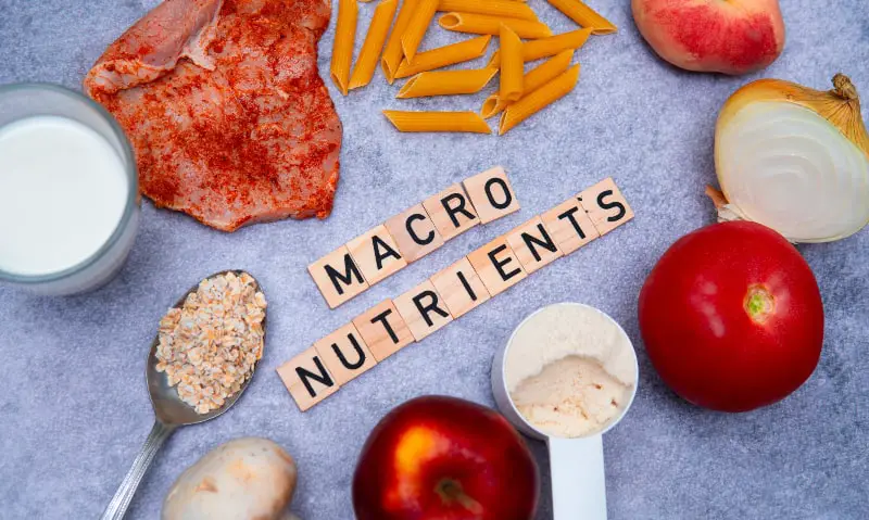 Macronutrients Explained: Your Ultimate Guide to Understanding Key Nutrients